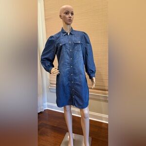 Given Kale Denim Button-Up Dress